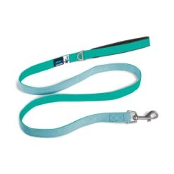 Curli Basic Leine Lagoon M | 140 X 1,5 Cm Hundeleine