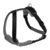 Hunter Neopren Schwarz / Grau | Gr. M Hundegeschirr -Snack Wuff Verkaufsgeschäft Hunter Geschirr Neopren Schwarz Grau M 53 65 cm 20 mm 211691