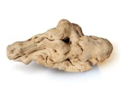 Torgas Kauwurzel Größe: M - Kauwurzel Für Hunde Zur Zahnpflege Ohne Splitter